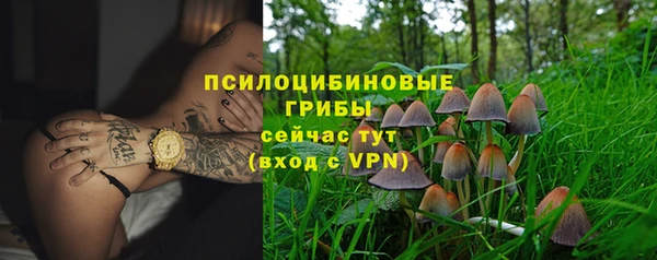 метадон Аркадак