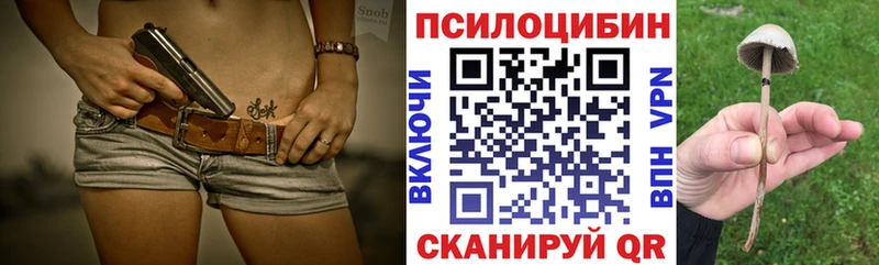 Псилоцибиновые грибы Cubensis  Белорецк 